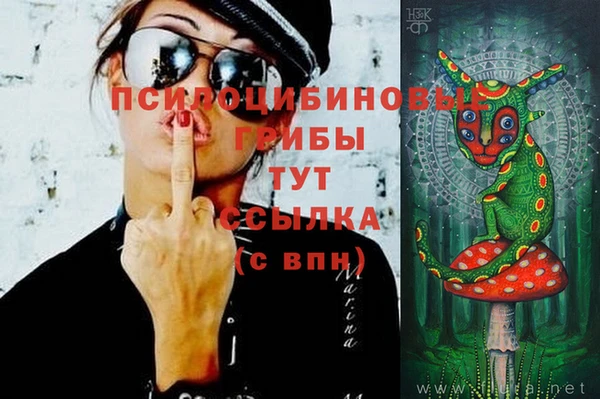 гашик Балабаново