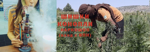 PSILOCYBIN Балахна