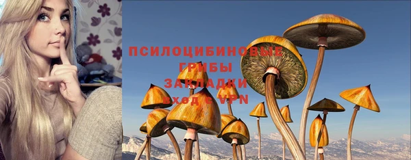 гашик Балабаново